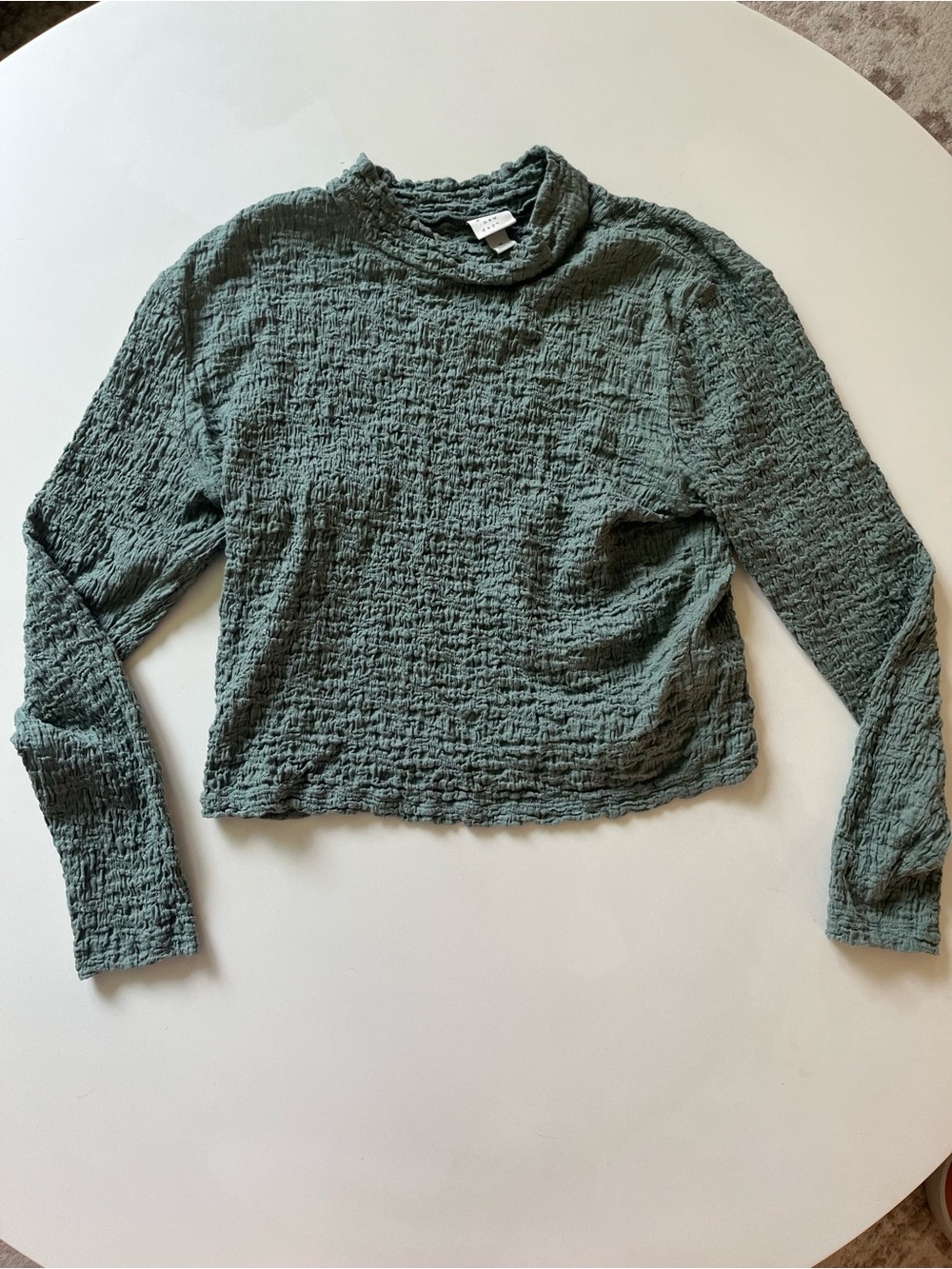 a new day Textured Crinkle Long Sleeve Cropped Top in Olive Green, Size Medium